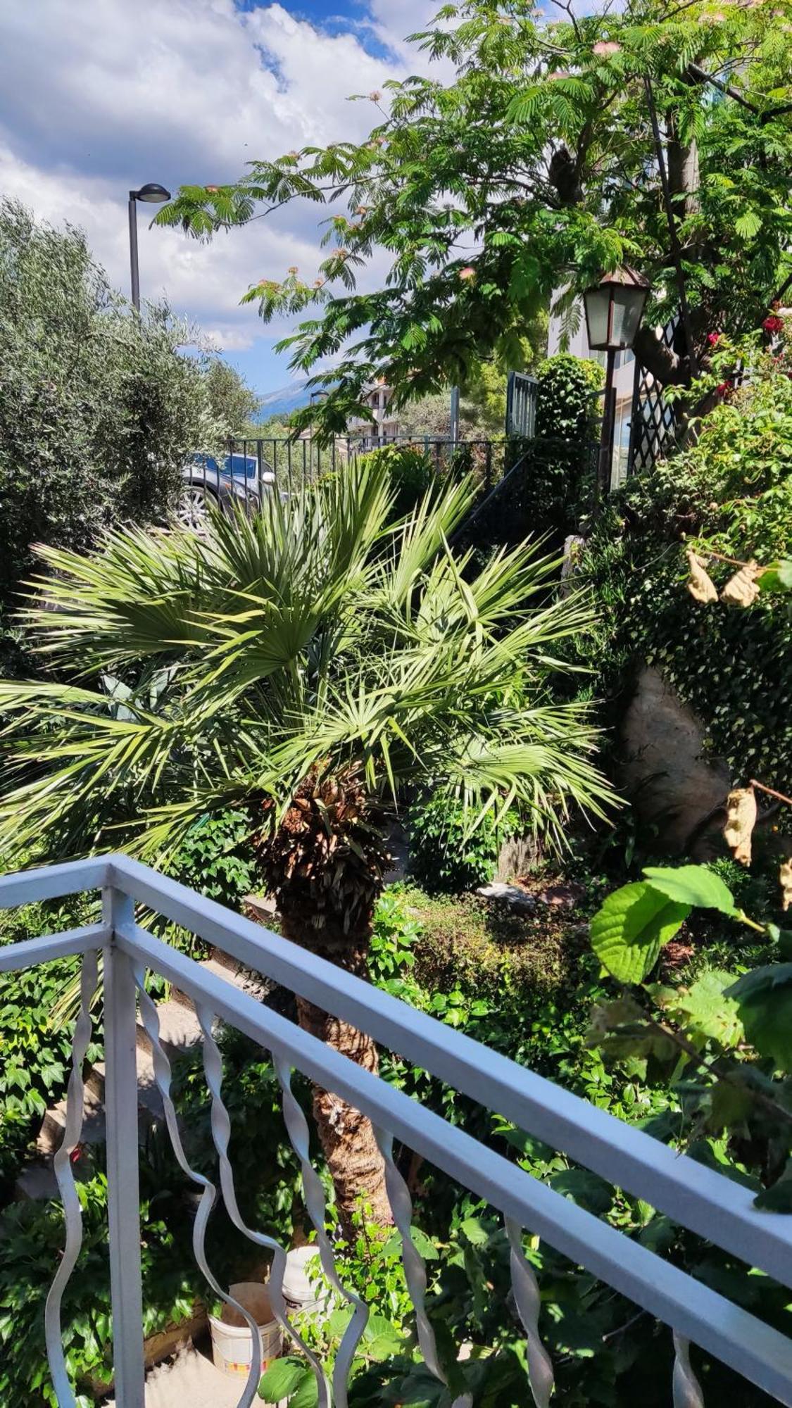 Apartmani Famelja Jovanovic Sveti Stefan Habitación foto